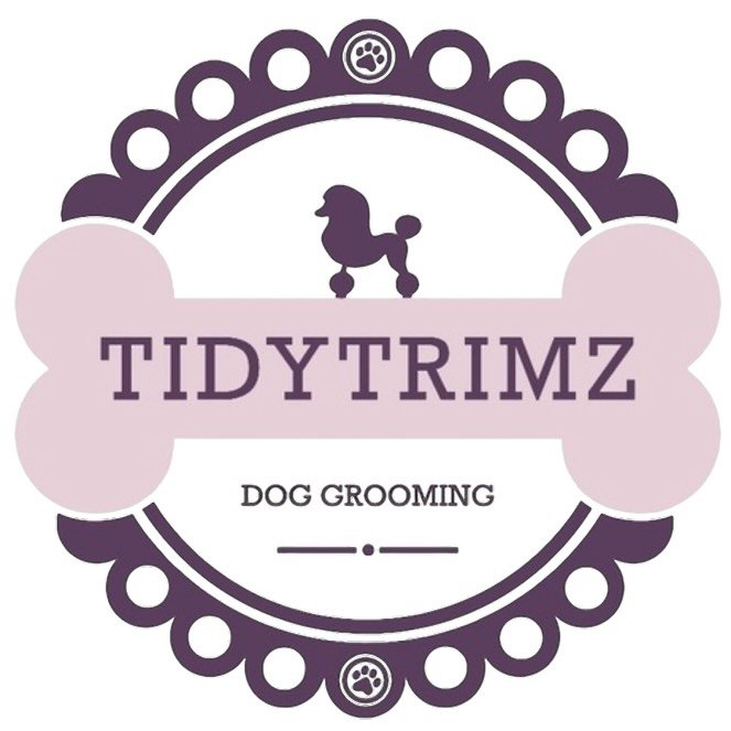 TidyTrimz Dog Grooming