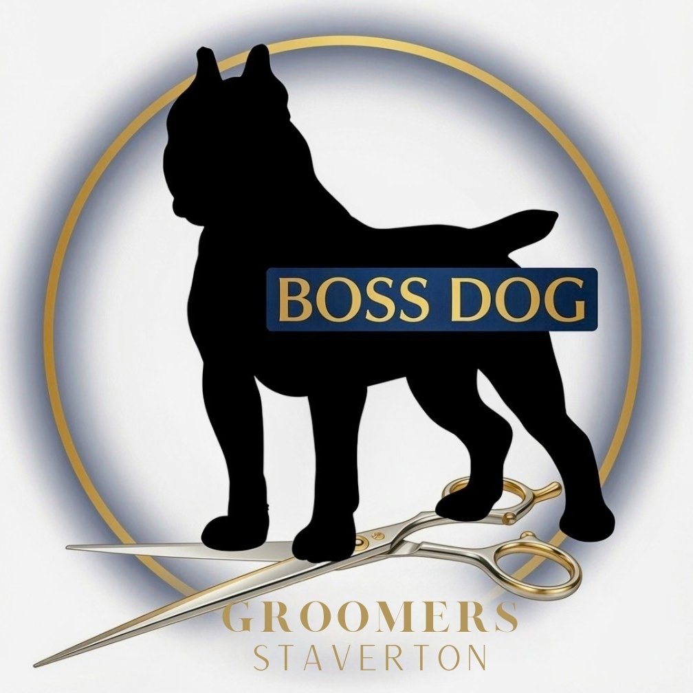 BOSS DOGS - Dog grooming