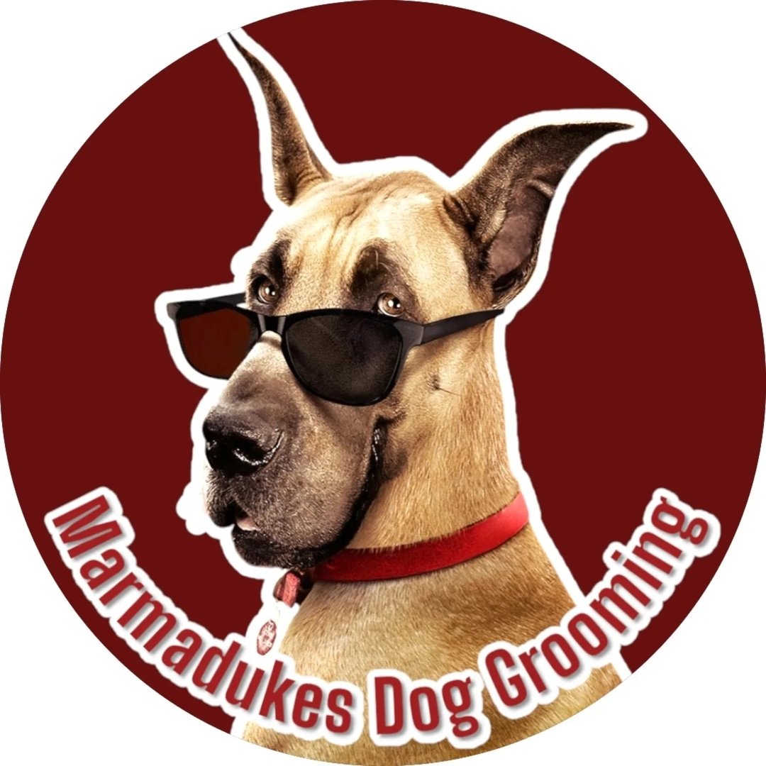 marmadukes dog grooming