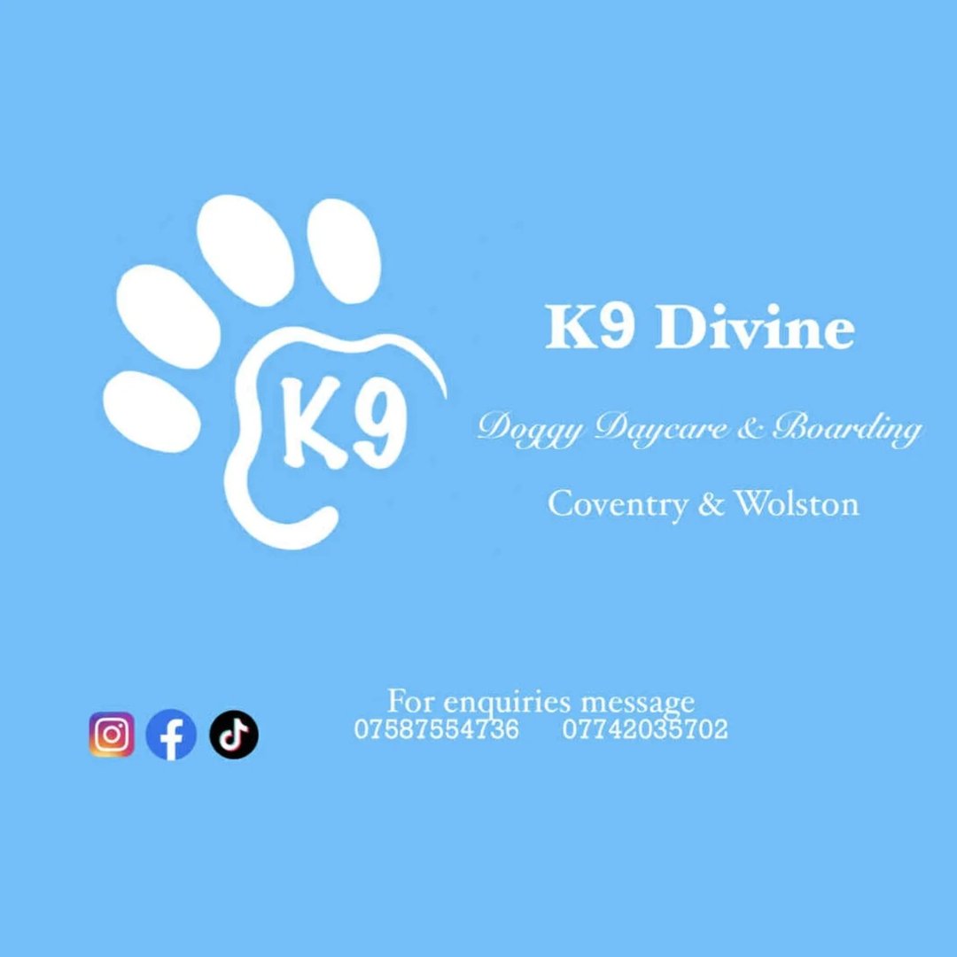 K9 Divine