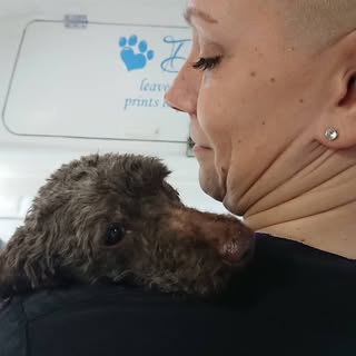 Dirty Dog Grooming and Self Service Dog Wash