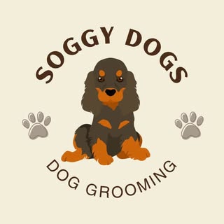 Soggy Dog Grooming Nantwich