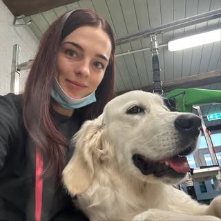 All Paws Pet Grooming