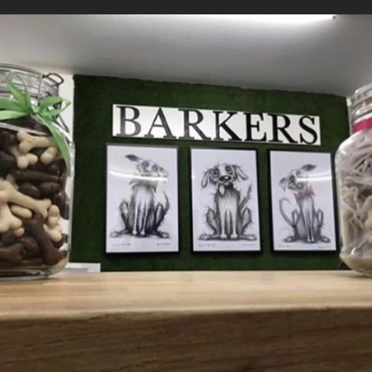Barkers of Bude