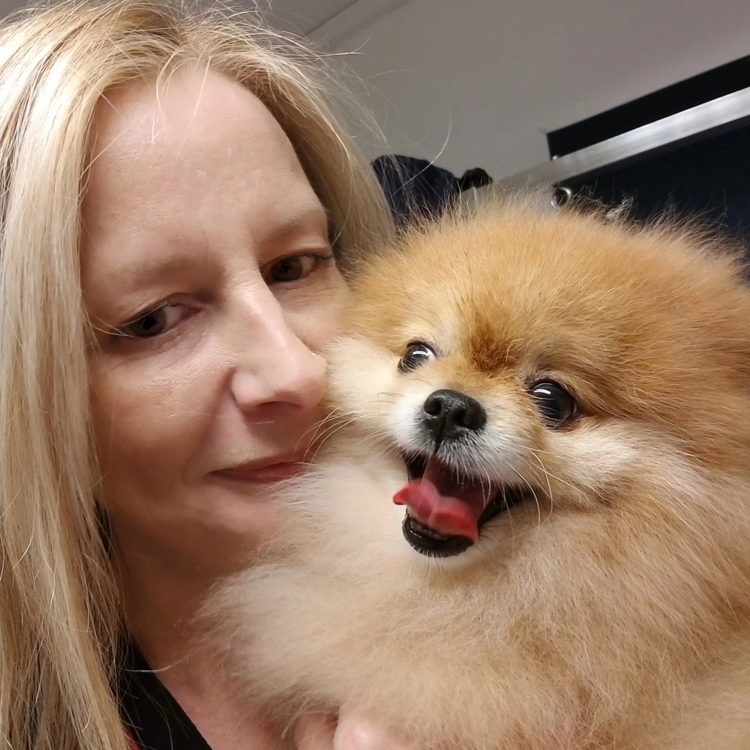 Best in Show Dog Grooming Maidstone 🏆