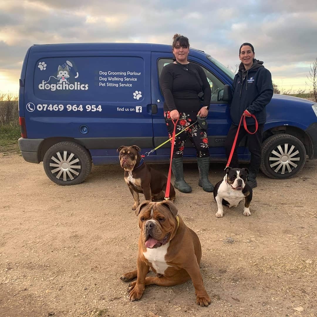 Dogaholics Pet Services