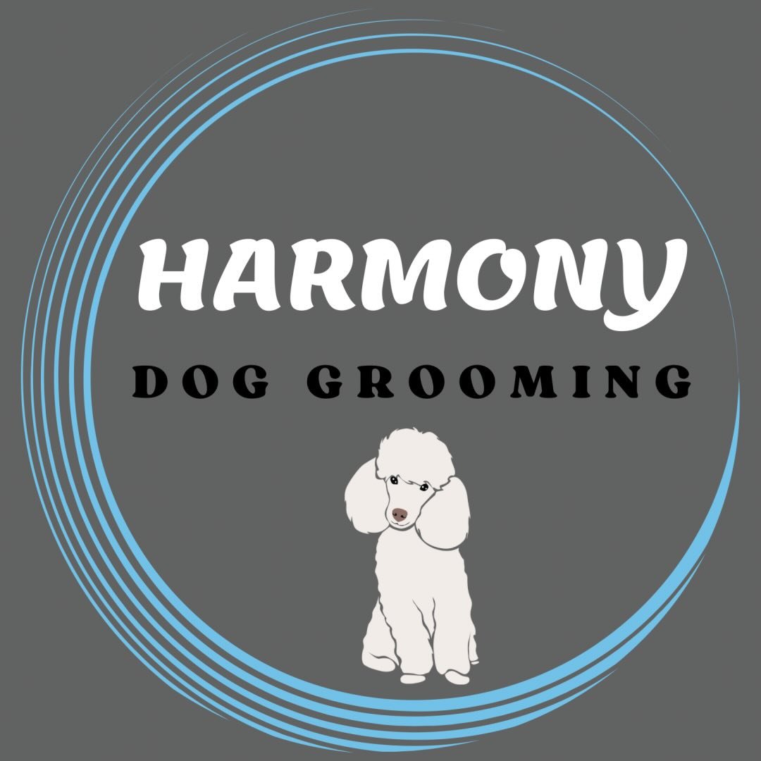 Harmony Dog Grooming Truro