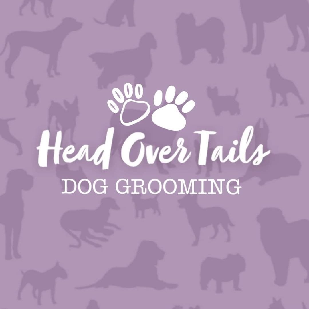Head Over Tails: Dog Grooming