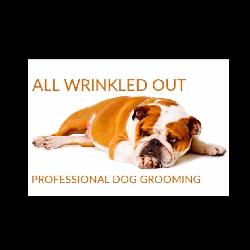 All Wrinkled Out Professional Dog Grooming