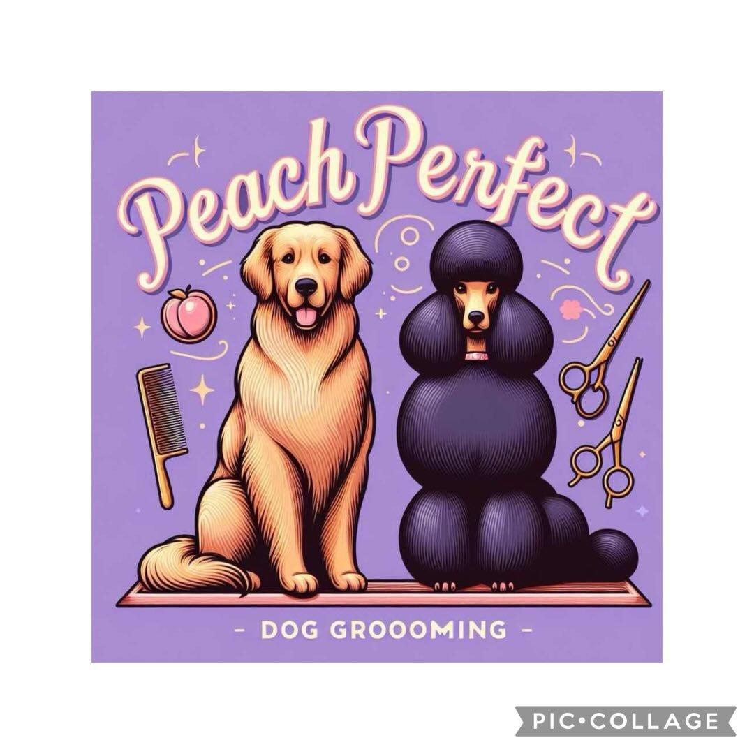 Peach perfect Dog grooming