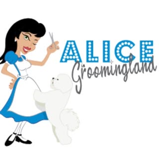 Alice in Groomingland LTD