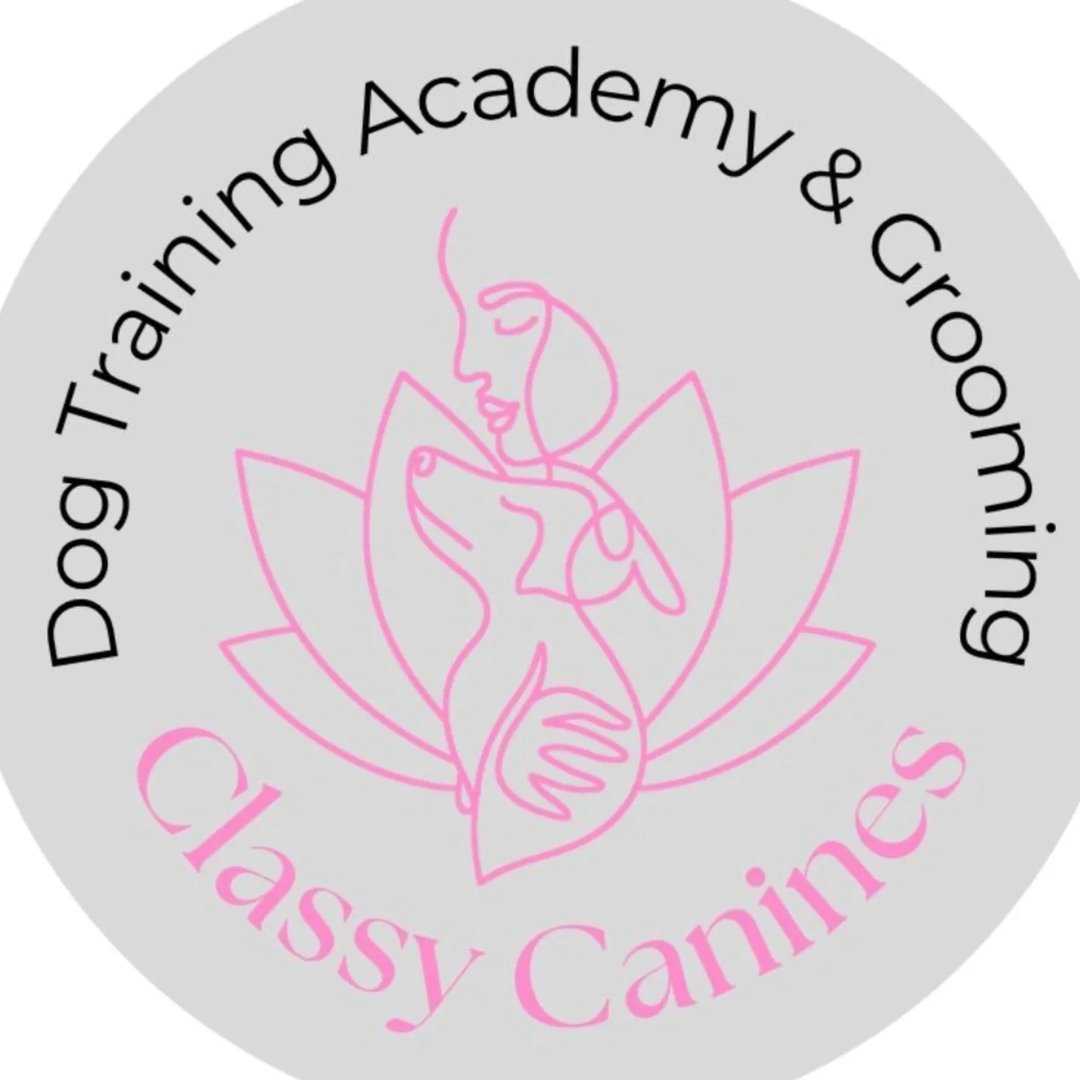 Classy Canines dog training academy