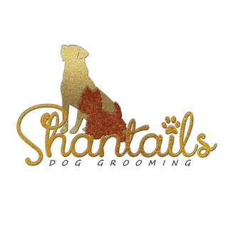 ShanTails