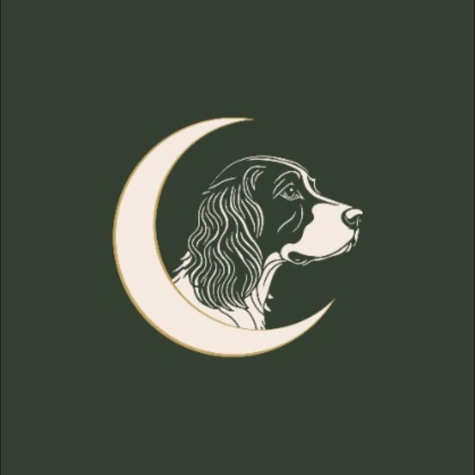 The Canine Coven