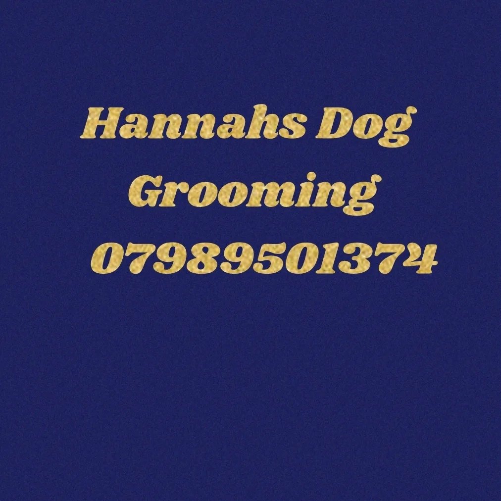 hannahs dog grooming