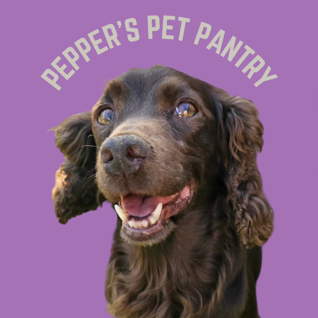 Lauren's Pet Services