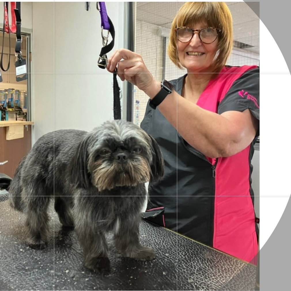 Lauries Dog Grooming