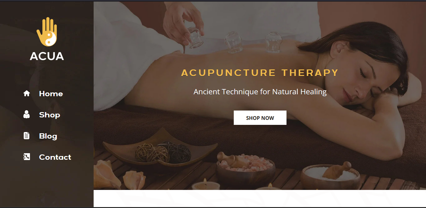 Acupuncture Shopify Theme