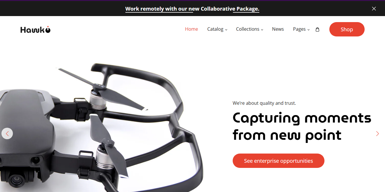 Drone Shopify Theme