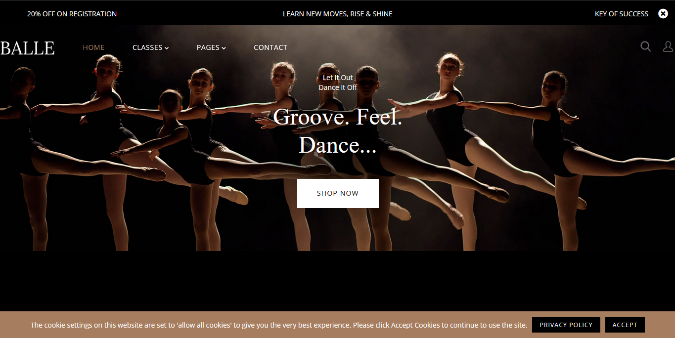 Ballet School Shopify Theme
                    
