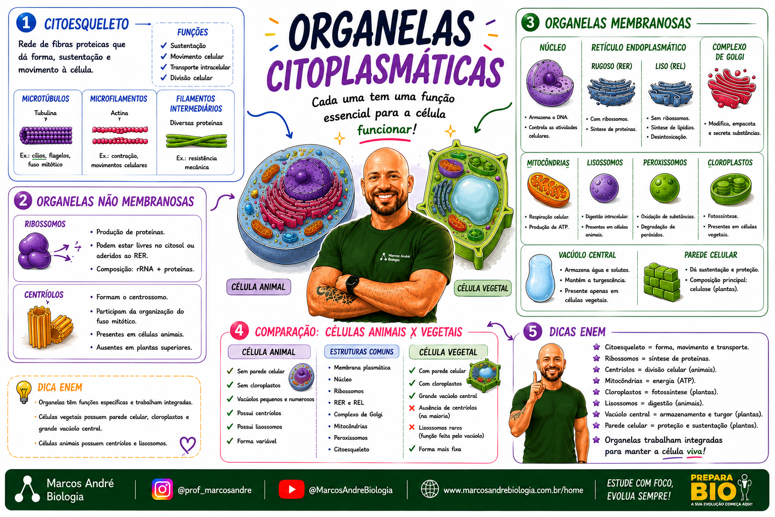 Mapa mental ilustrado de biologia, parte do Volume 1