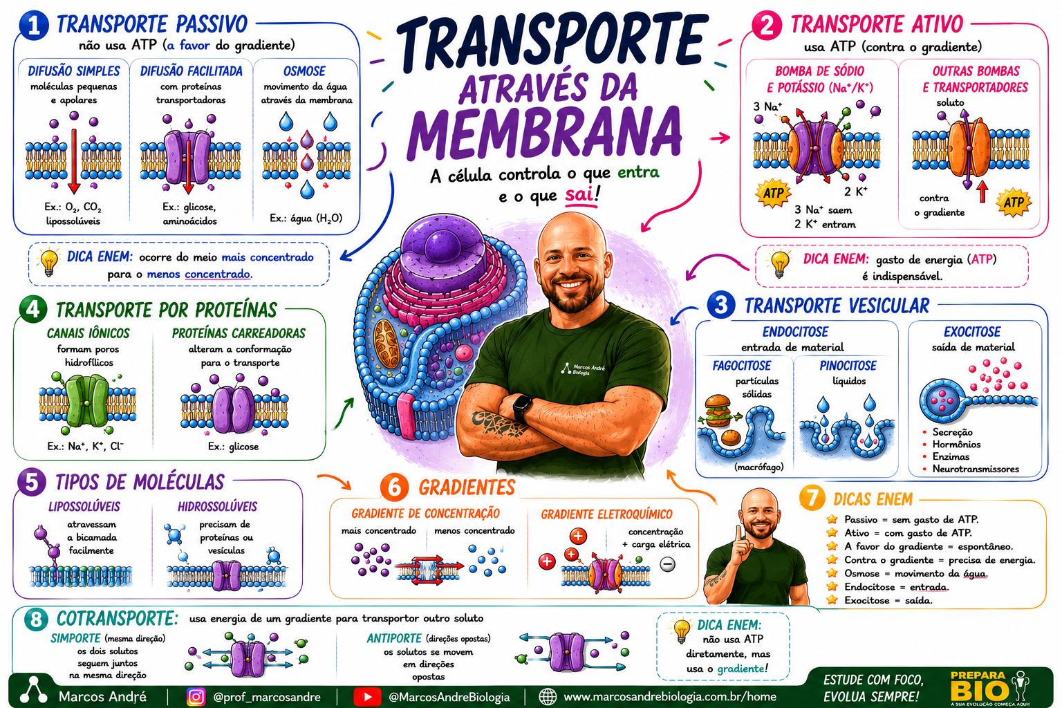 Mapa mental ilustrado de biologia, parte do Volume 1