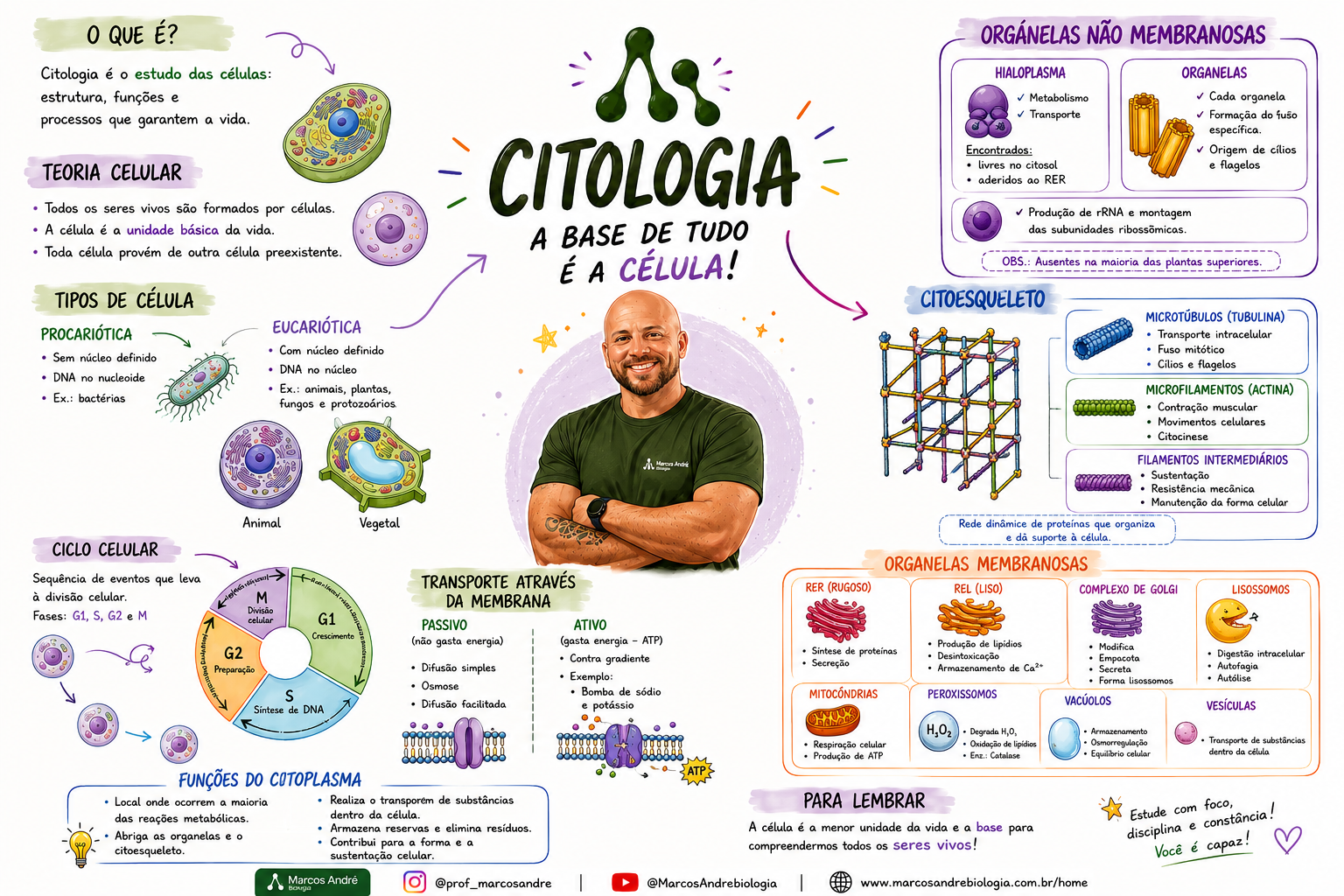 Mapa mental ilustrado de Citologia, parte do Volume 1