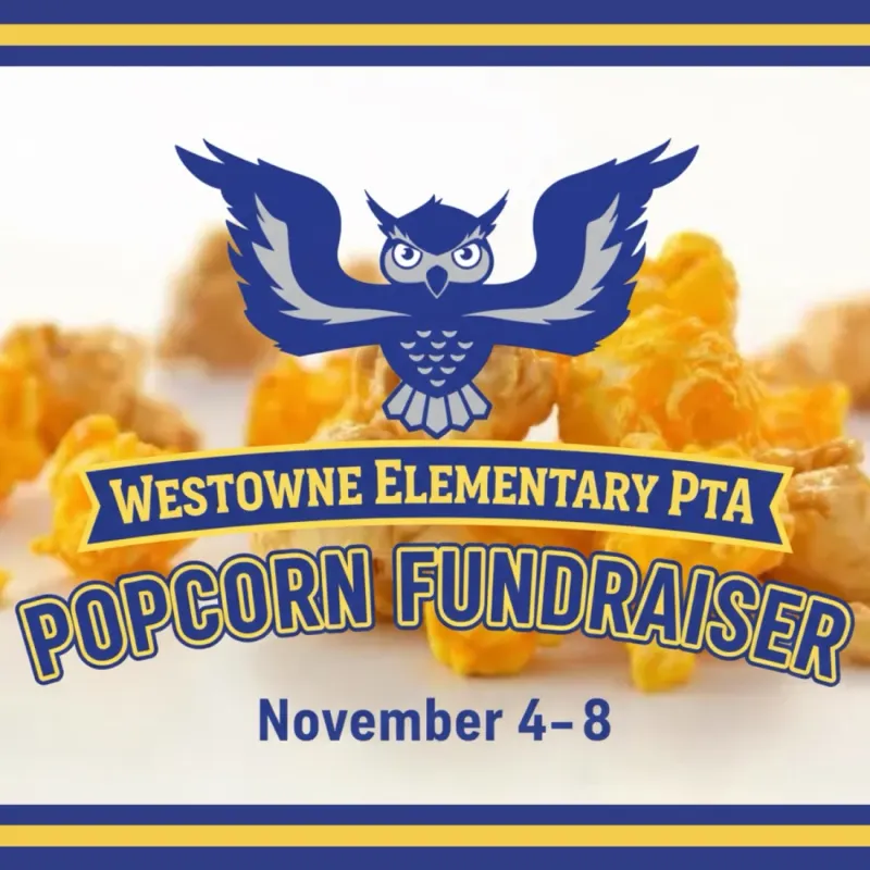 Westowne’s virtual fundraising Pop-Up Store