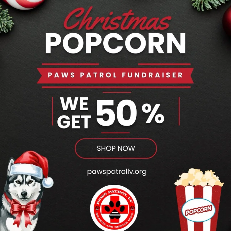 Miia’s virtual fundraising Pop-Up Store