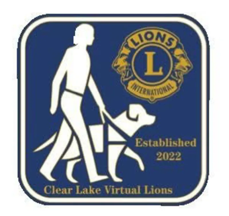 Clear Lake Virtual’s virtual fundraising Pop-Up Store