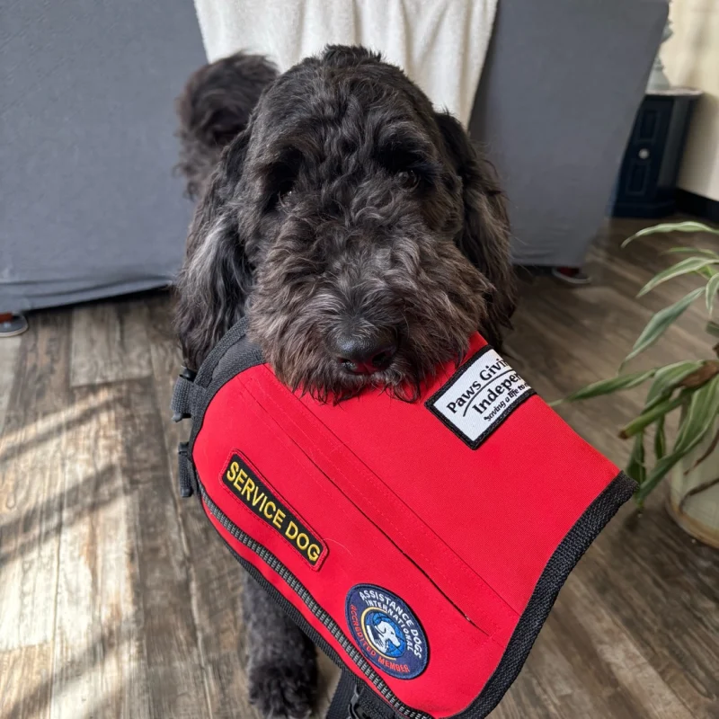 Pepper’s virtual fundraising Pop-Up Store
