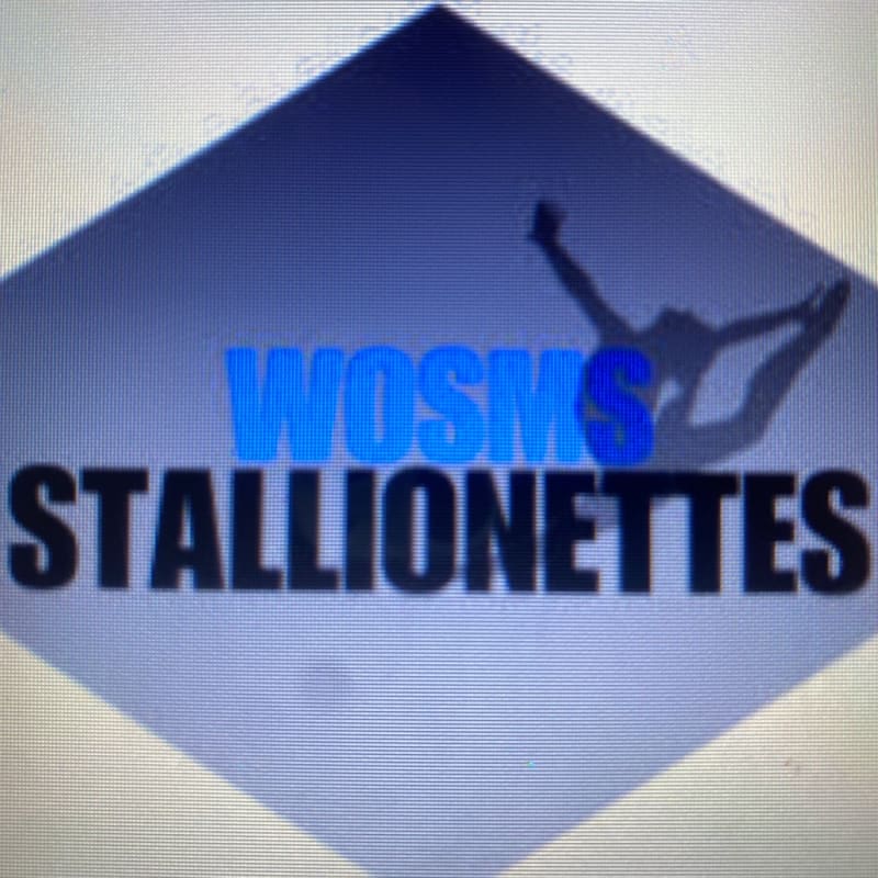 Stallionettes’s virtual fundraising Pop-Up Store