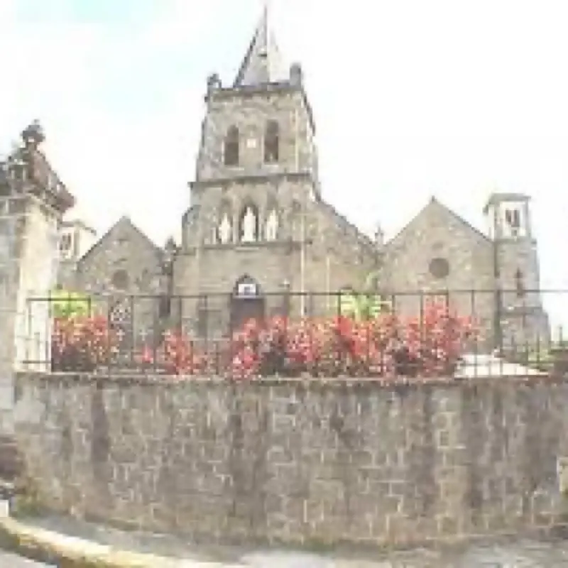 DARDA’s virtual fundraising Pop-Up Store