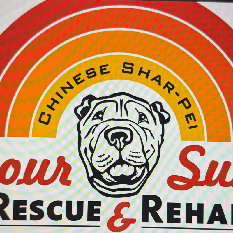Four Suns’s virtual fundraising Pop-Up Store