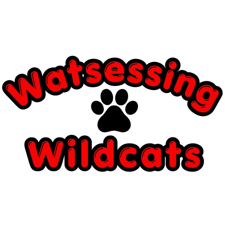 Wildcats’s virtual fundraising Pop-Up Store