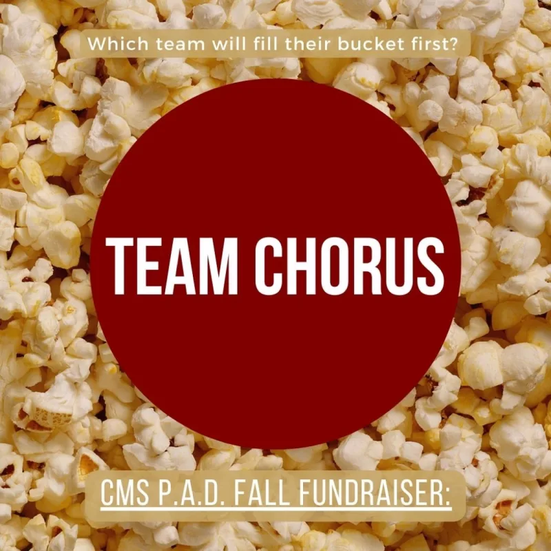 Team’s virtual fundraising Pop-Up Store