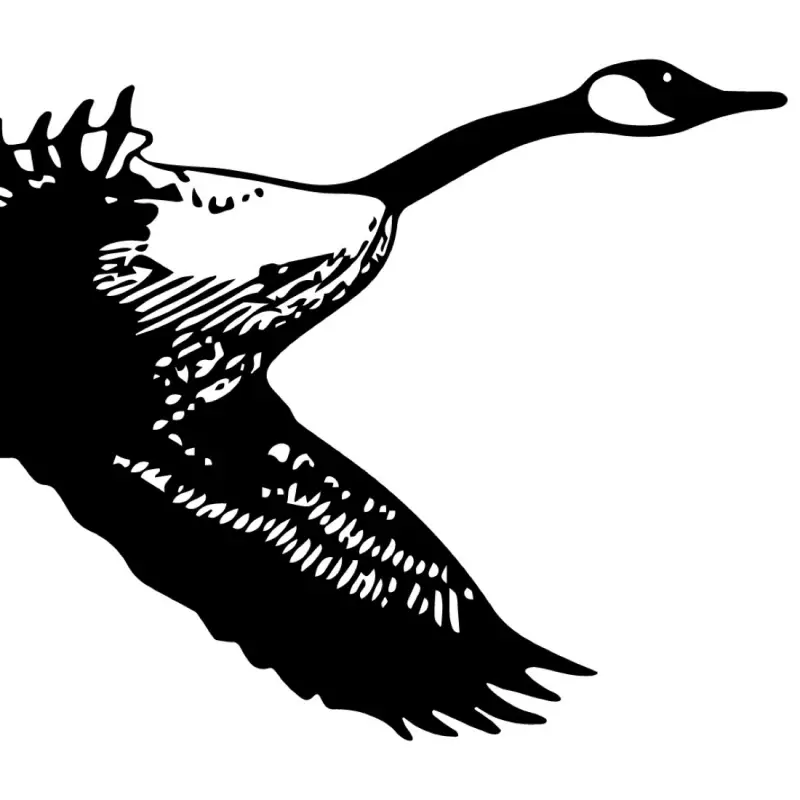 Honker’s virtual fundraising Pop-Up Store