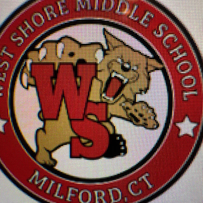 WSMS’s virtual fundraising Pop-Up Store