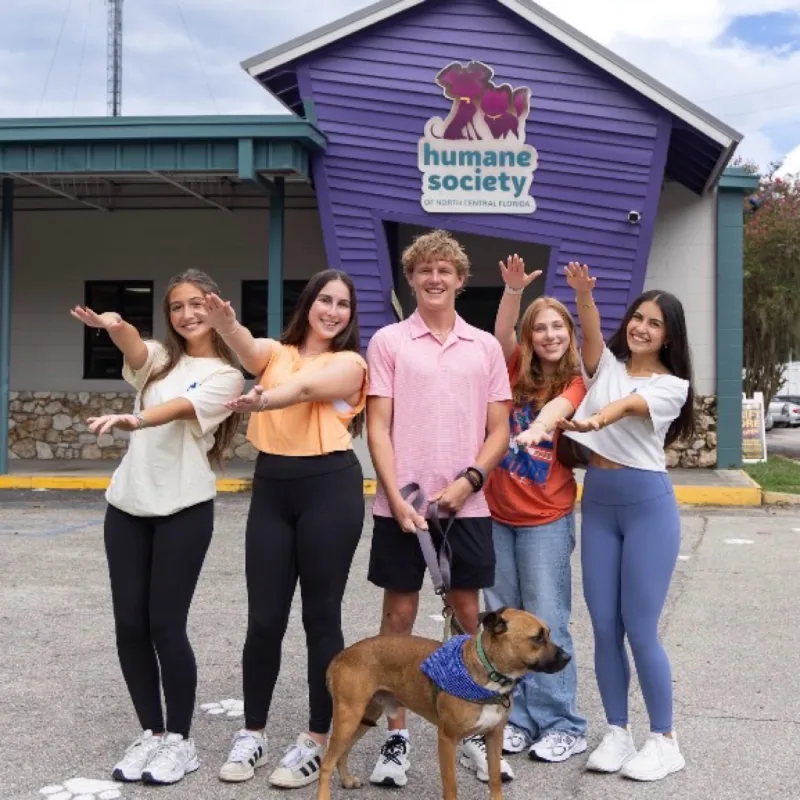 Homecoming &’s virtual fundraising Pop-Up Store