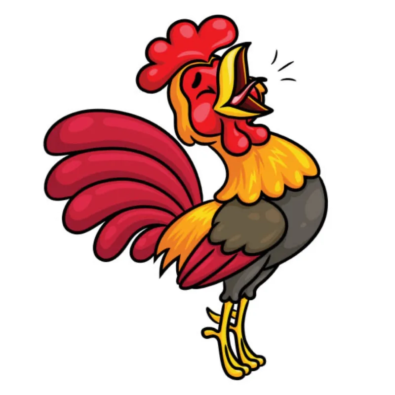 Angry Roosters’s virtual fundraising Pop-Up Store