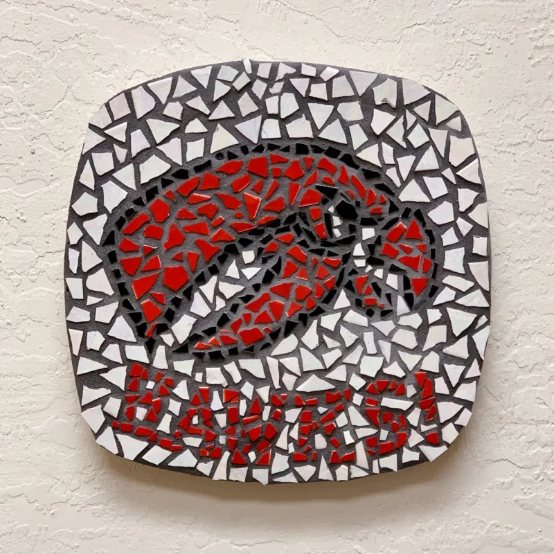 SRHS’s virtual fundraising Pop-Up Store