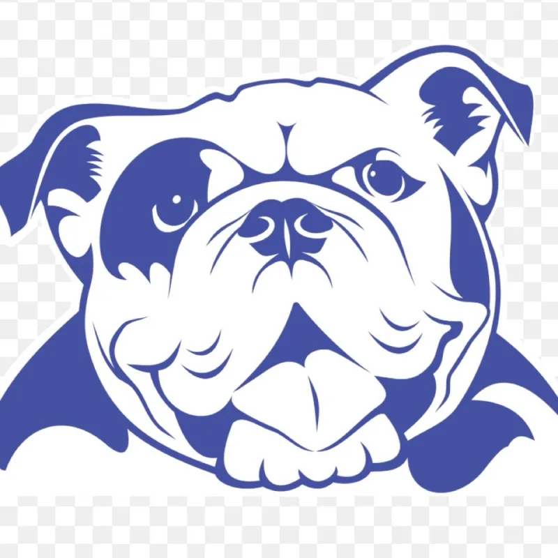 Angelika’s virtual fundraising Pop-Up Store