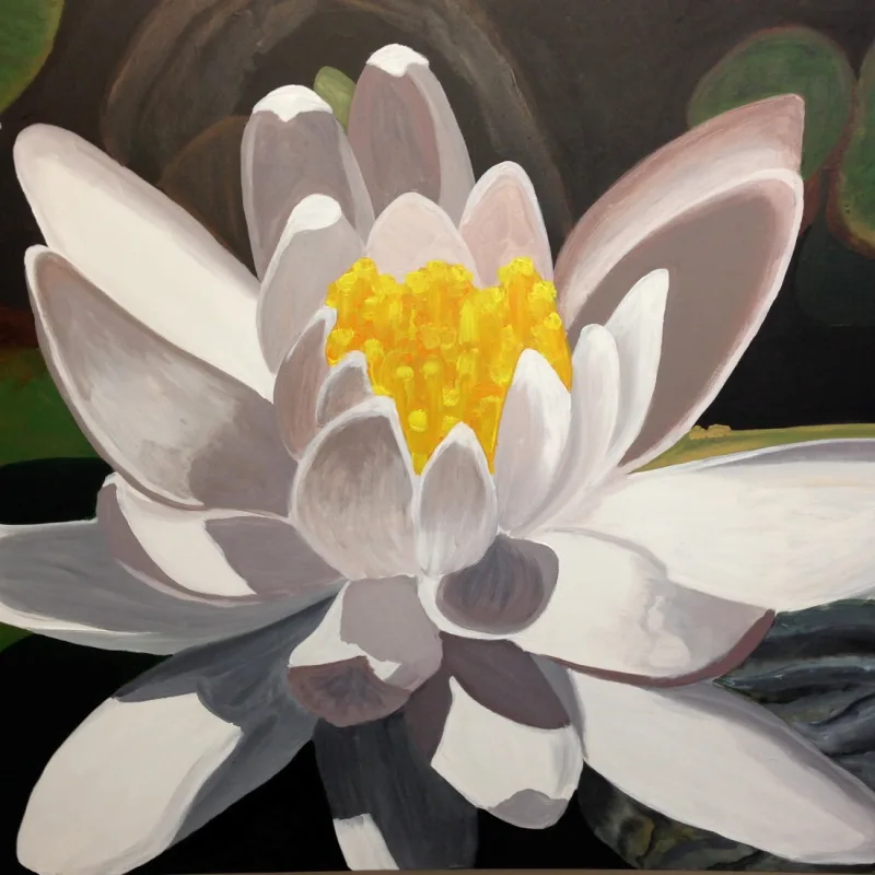 CI’s virtual fundraising Pop-Up Store