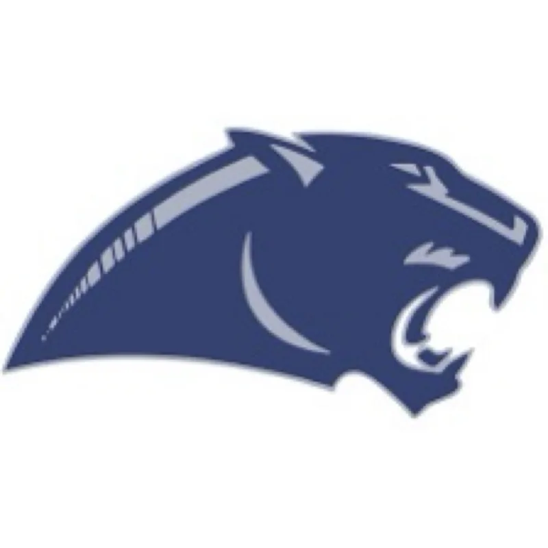 Panorama’s virtual fundraising Pop-Up Store