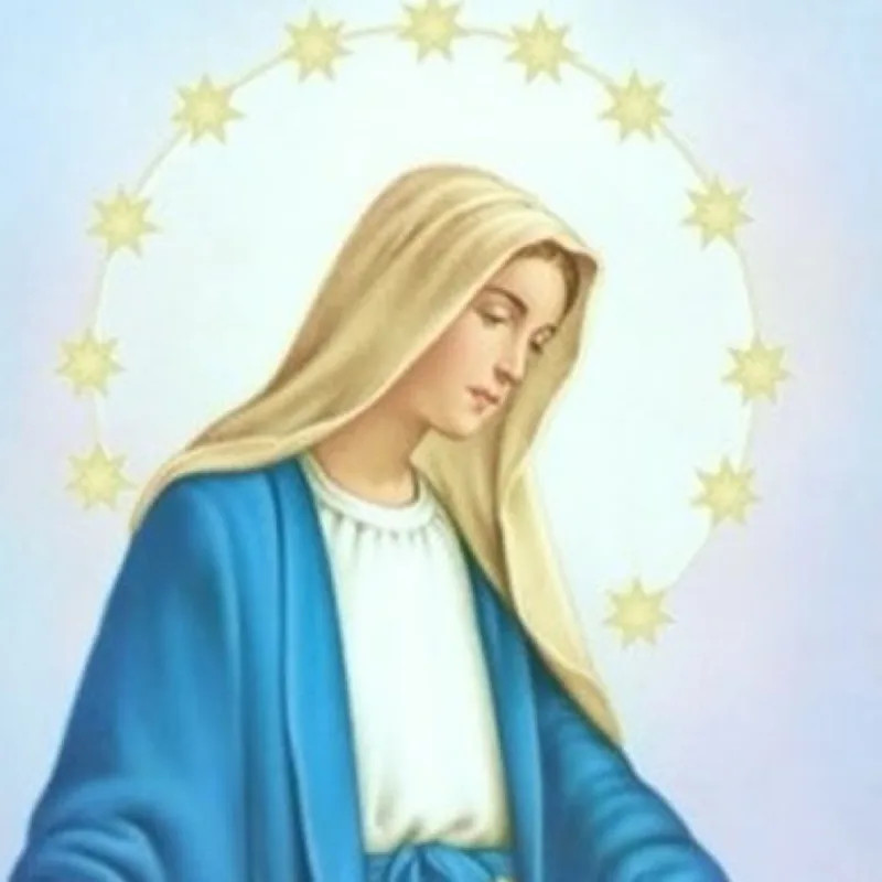 Jenelle’s virtual fundraising Pop-Up Store