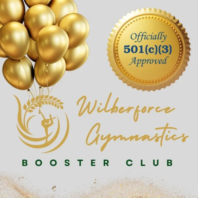 Wilberforce Gymnastics’s virtual fundraising Pop-Up Store