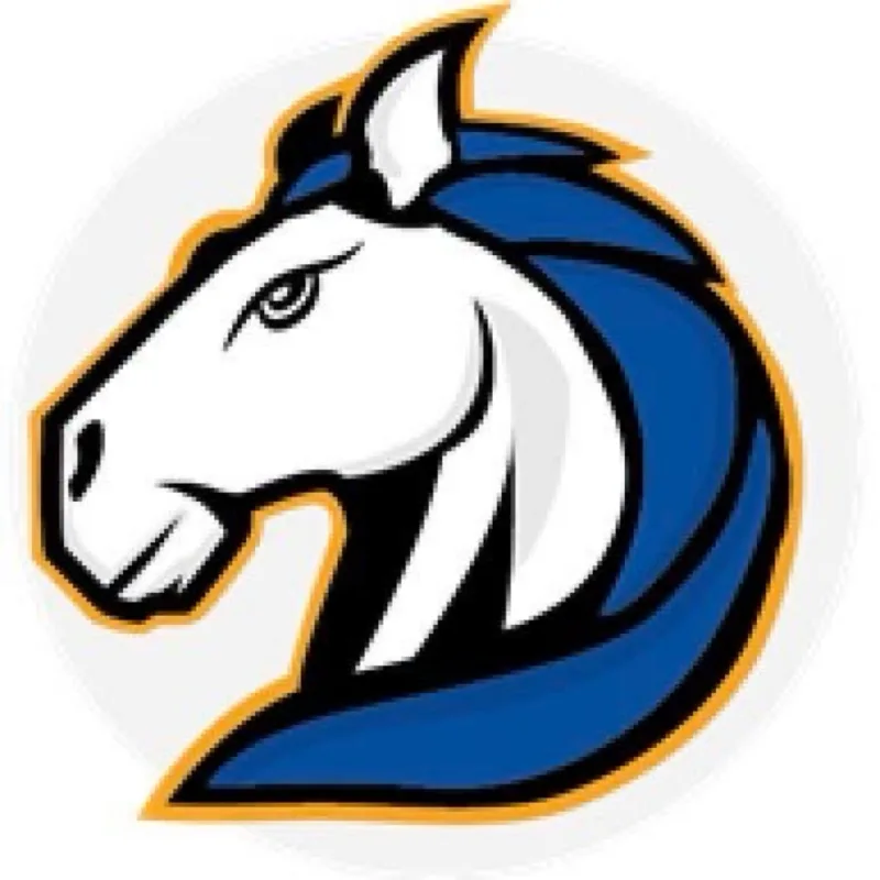 Plum Grove Middle School’s virtual fundraising Pop-Up Store