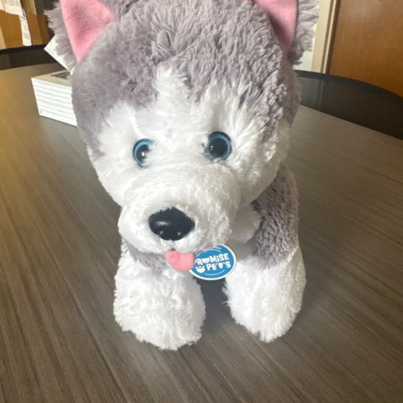 Matthew Henson’s virtual fundraising Pop-Up Store