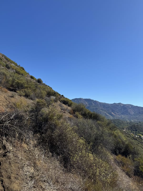 Ron’s virtual fundraising Pop-Up Store