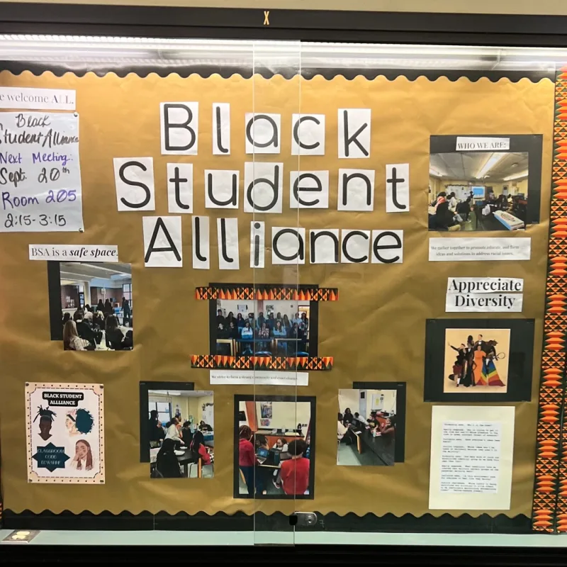 Black Student Alliance’s virtual fundraising Pop-Up Store